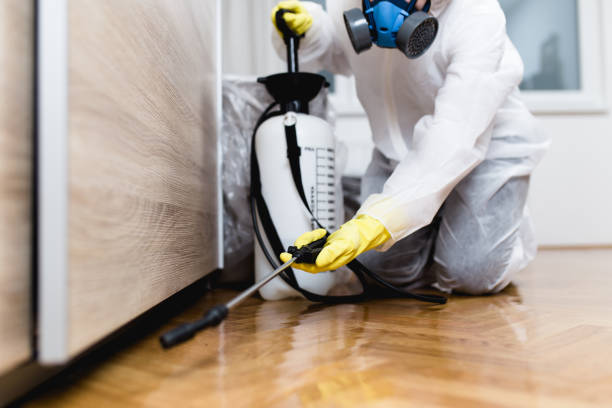 Best Wasp Removal Services  in Woodworth, OH