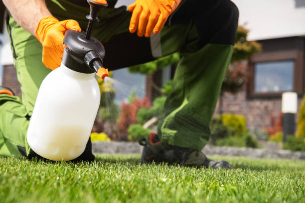 Wildlife Control Services in Woodworth, OH