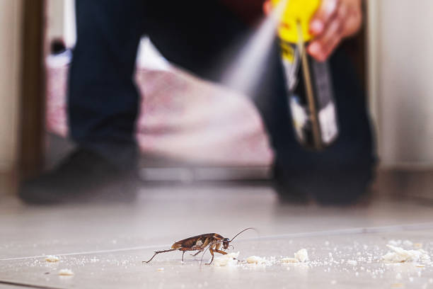 Best Ant Control Services  in Woodworth, OH